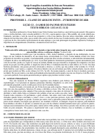 Ad02L13.pdf